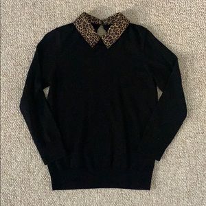 J crew collared sweater